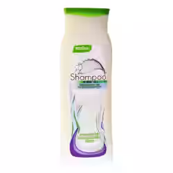 REGINA Shampoo
