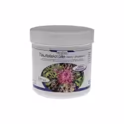 Regina Teufelskralle Aktiv-Balsam 1126