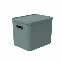 Rotho C4 ALBULA Aufbewahrungsbox