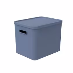 Rotho C4 ALBULA Aufbewahrungsbox