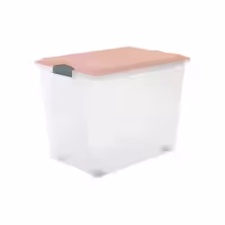 Rotho COMPACT Stapelbox A3 tranparent mit Rollen