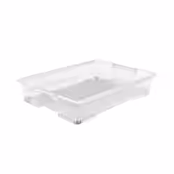 Rotho EVO EASY Unterbettbox