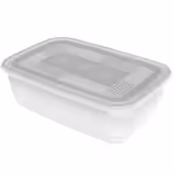 Rotho FREEZE Gefrierdose 1725700096