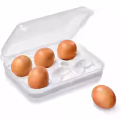 Rotho FUN Transportbox für 6 Eier 1748600096