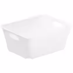 Rotho LIVING Box