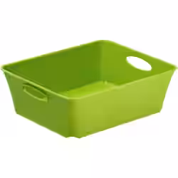 Rotho LIVING Box