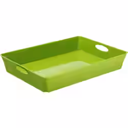 Rotho LIVING Box