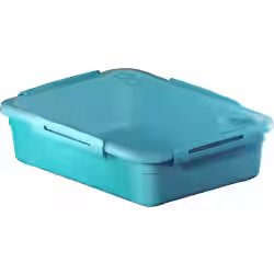 Rotho MEMORY Mikrowellen-Dose 1128906112