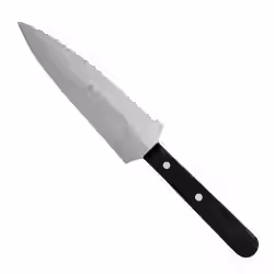 SCHNEIDER Tortenmesser und -heber