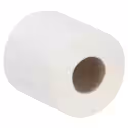 SCOTT Essential™ Toilettenpapier