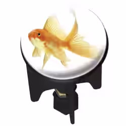 WENKO Pluggy Waschbeckenstöpsel 20765100