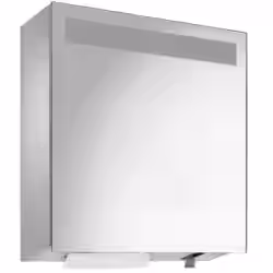 Wagner EWAR Spiegelschrank mit Handtuch- und Seifenspender 727 890
