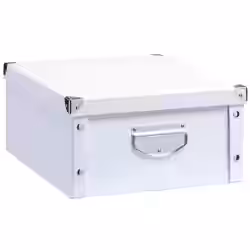 Zeller Aufbewahrungsbox Pappe
