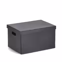 Zeller Aufbewahrungsbox