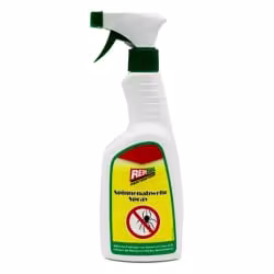 Reinex Insektenstopp Spinnenabwehrspray