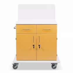 ETERNASOLID MULTICART Multifunktionswagen T21 mit Rückwand 92635-GE