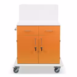 ETERNASOLID MULTICART Multifunktionswagen T21 mit Rückwand 92635-OR