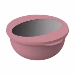 Food Bowl To Go