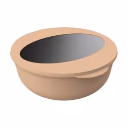 Food Bowl To Go