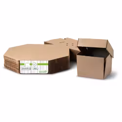 Greenbox Burger Box
