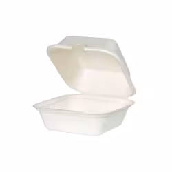 Greenbox Burger Box