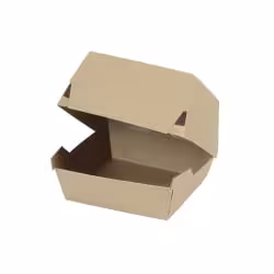 Greenbox Mini Burger Box