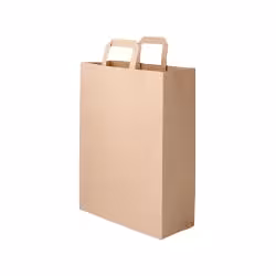 Greenbox Papiertüte mit Henkel XL