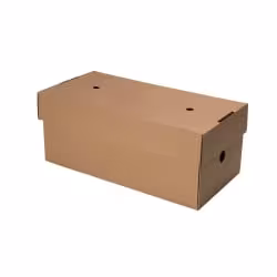 Greenbox Take away Doppel Burger Box