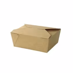 Greenbox Take away Kartonbox