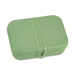 Koziol Lunchbox PASCAL L mit Trennsteg