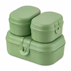 Koziol Lunchbox Set PASCAL READY MINI