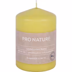 Müller Kerzen "PRO NATURE" Stearin Stumpenkerze 100/68mm 89910068HH