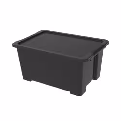 Rotho EVO EASY Aufbewahrungsbox mit Deckel