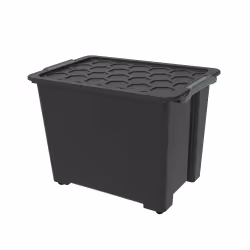 Rotho EVO SAFE Box mit Deckel