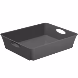 Rotho LIVING Box