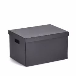 Zeller Aufbewahrungsbox