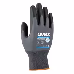 uvex phynomic allround Schutzhandschuh 6004911