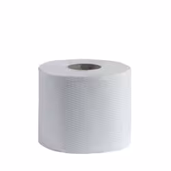 CWS Recycling Natur Toilettenpapier