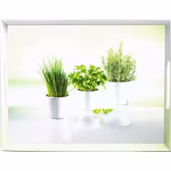 EMSA Classic Tablett "Herbs" 504861