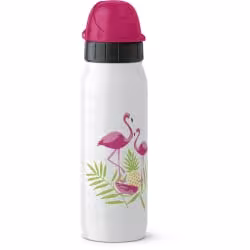 EMSA Iso2Go Trinkflasche