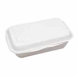 NATURESTAR Single Bio Take-Away-Box 41217