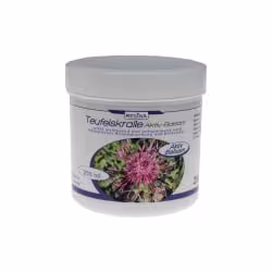 Regina Teufelskralle Aktiv-Balsam 1126