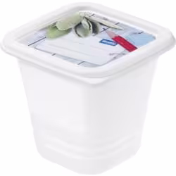 Rotho DOMINO Gefrierdosen Set 6116610120