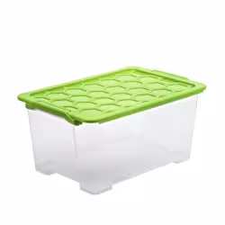 Rotho EVO SAFE Box 1008105519